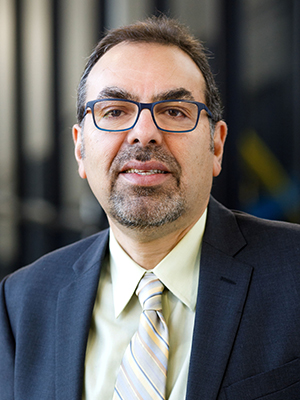 Hamid Lankarani, Dr.