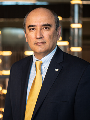 Akmal Mirsadikov